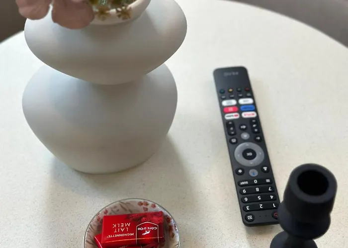 Lovely 1br & 1lr Apartment, Only 15 Min Walk To Center