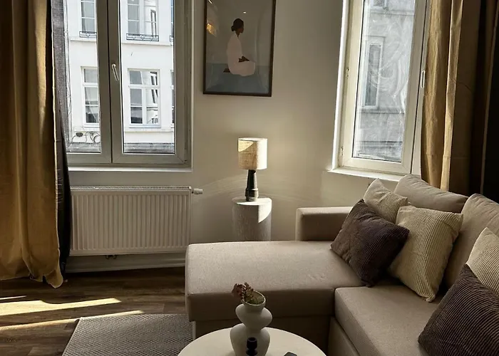 Lovely 1br & 1lr Apartment, Only 15 Min Walk To Center Gante